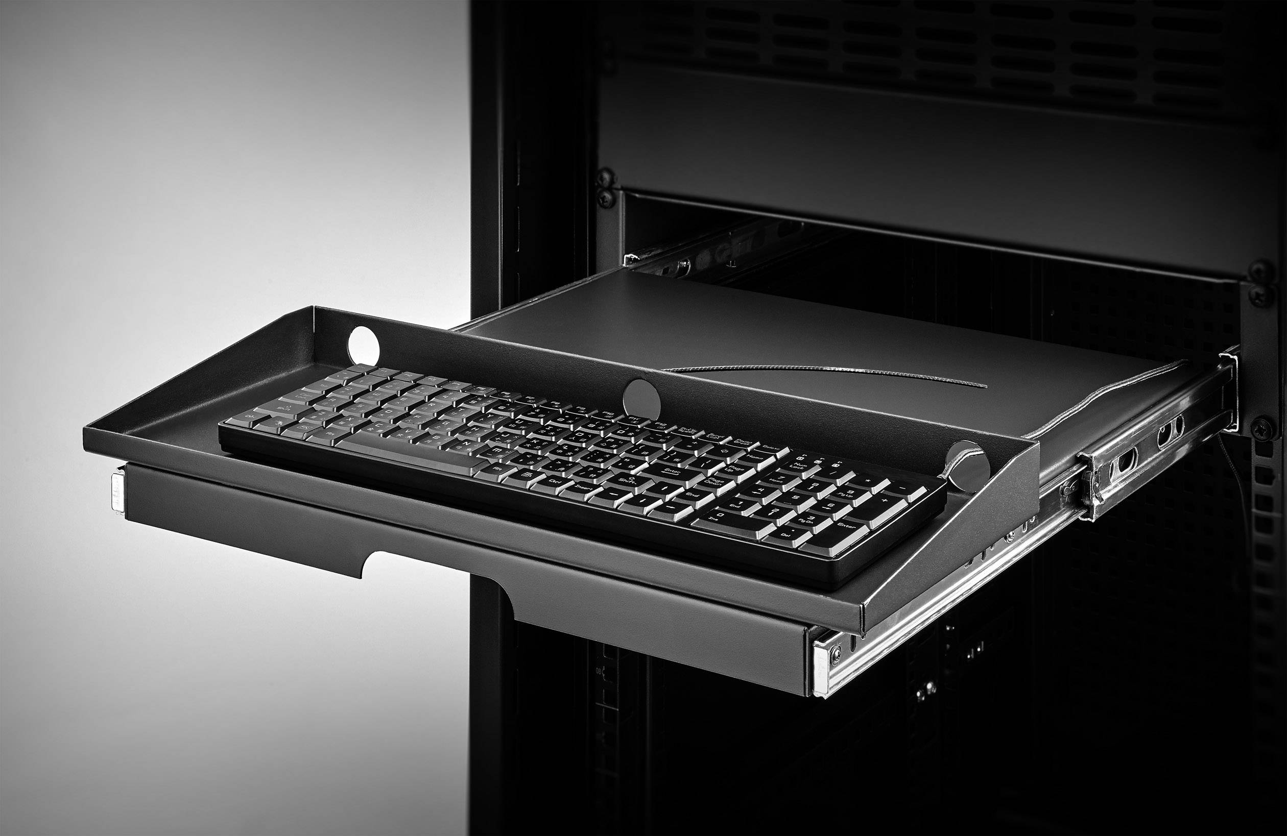 Renkforce RF-3429156 19 Zoll Netzwerkschrank-Schublade 2 HE Ausziehbar Geeignet für Schranktiefe: ab 500mm Schwarz