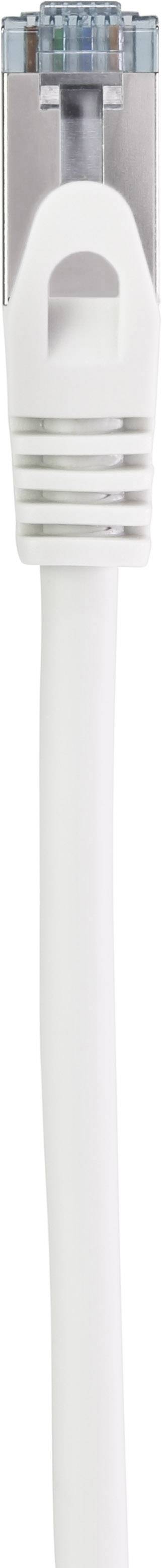 Ein weißes Ethernet-Kabel mit einem transparenten RJ45-Stecker.