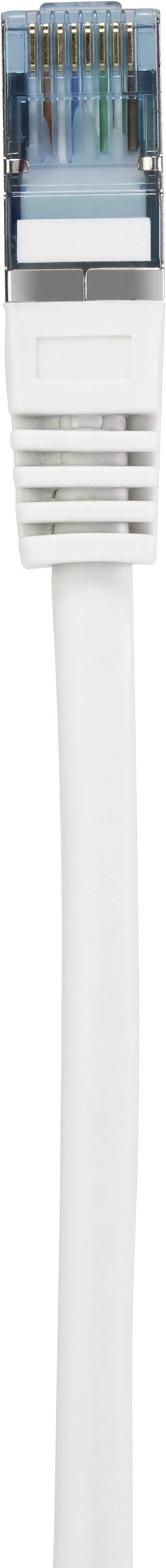 Ein weißes Ethernet-Kabel mit einem RJ-45-Stecker, verwendet für Netzwerkverbindungen in Computernetzwerken.