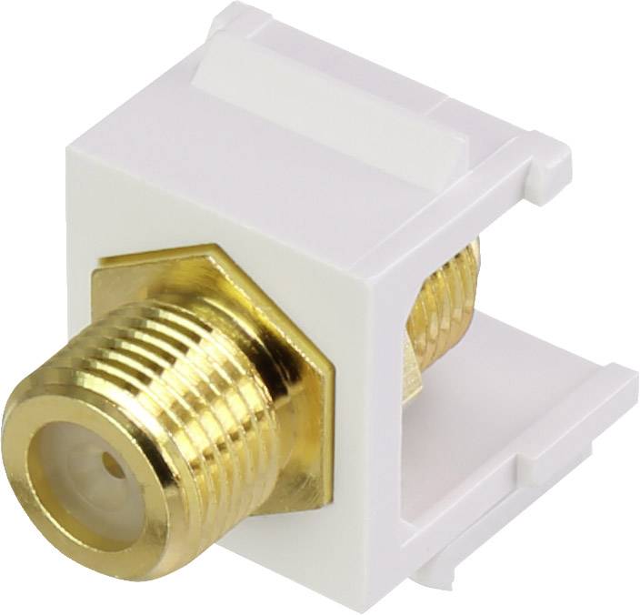 Renkforce RF-KS-FKP F-Einbaumodul Keystone