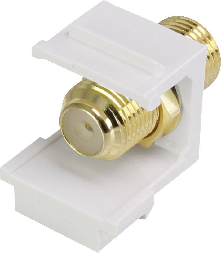 Renkforce RF-KS-FKP F-Einbaumodul Keystone