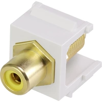 Renkforce RF-KS-RCAFG Cinch-Einbaumodul Keystone 1St. Renkforce RF-KS-RCAFG Cinch-Einbaumodul Keystone 1St.