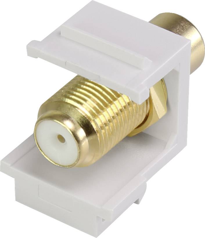 Ein Coaxial-Keystone-Modul mit F-Buchse in einem weißen Kunststoffgehäuse, geeignet zur Infrastruktur-Vernetzung in IT-Installationen.