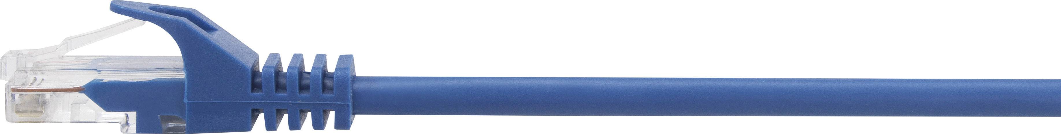 Ein blaues Ethernet-Kabel mit einem RJ45-Stecker, verwendet für kabelgebundene Netzwerkverbindungen.