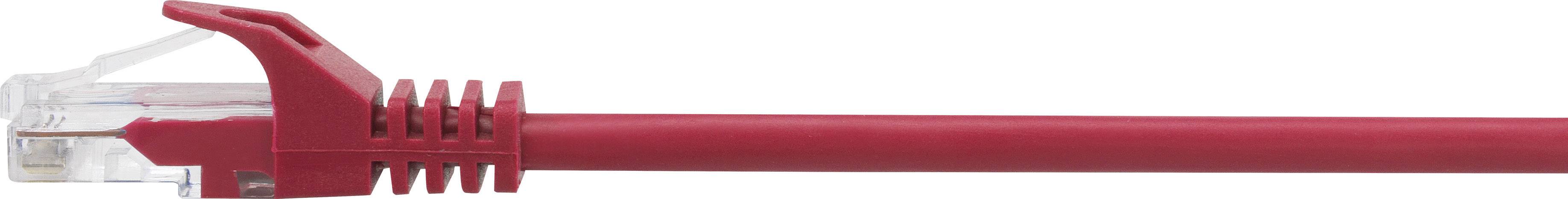 Rotes Ethernet-Kabel, gezeigt von der Seite, mit transparentem RJ45-Stecker am Ende, dient zur Netzwerkverbindung.