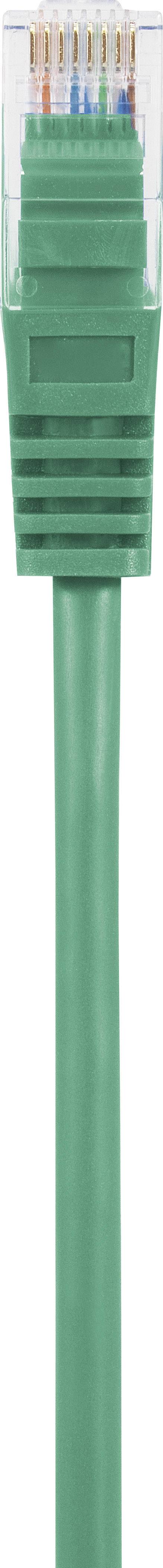 Basetech BT-1717501 RJ45 Netzwerkkabel, Patchkabel CAT 5e U/UTP 15.00m Grün mit Rastnasenschutz 1St.