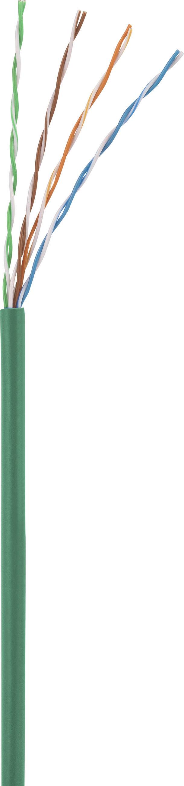 Basetech BT-1717481 RJ45 Netzwerkkabel, Patchkabel CAT 5e U/UTP 25.00cm Grün mit Rastnasenschutz 1St.