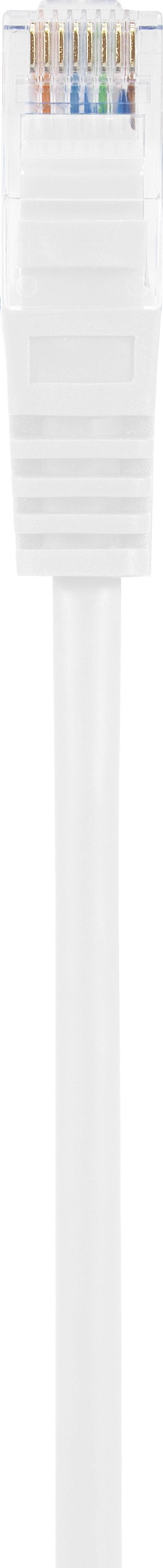 Ein weißes Ethernet-Kabel mit einem durchsichtigen RJ45-Stecker, dessen farbige Drähte sichtbar sind, ragt nach unten.