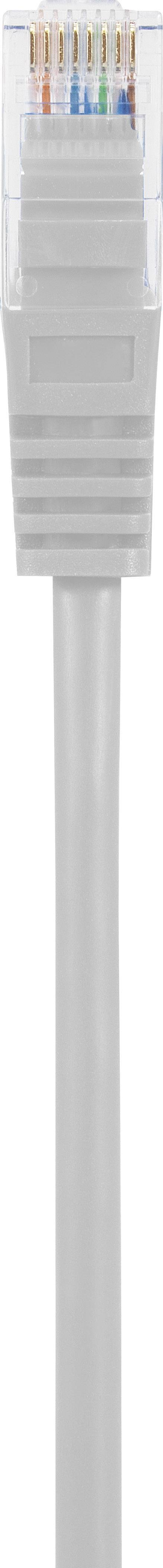 Ein graues Ethernet-Kabel mit einem durchsichtigen RJ45-Stecker.