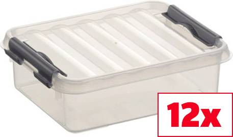Plastikbox mit Klappdeckel, transparent, rechteckig. Im unteren rechten Teil des Bildes steht '12x' in roter Schrift auf weißem Grund.