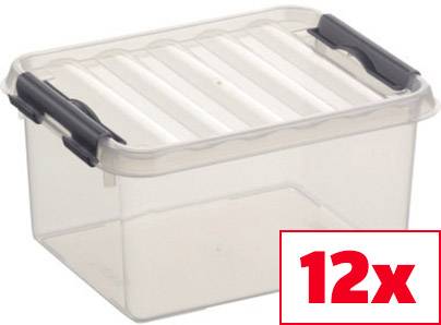 Transparente Vorratsbox mit Deckel, 12 Stück. Ideal zur Aufbewahrung von Gegenständen.