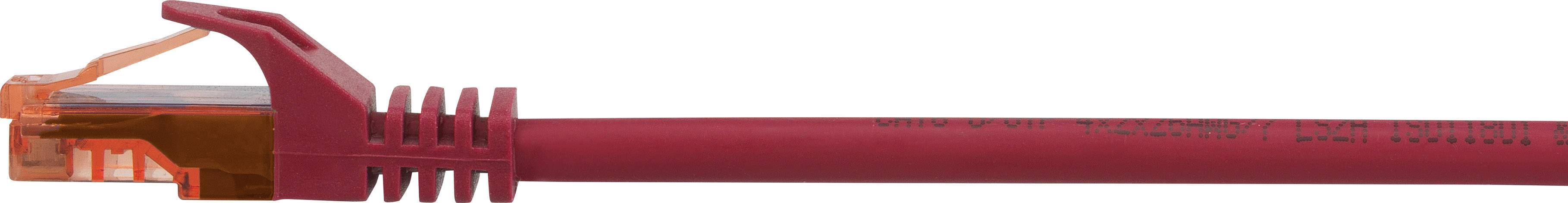 Rotes Netzwerkkabel mit RJ45-Stecker, verwendet für Ethernet-Verbindungen und Datenübertragung in Computernetzwerken.