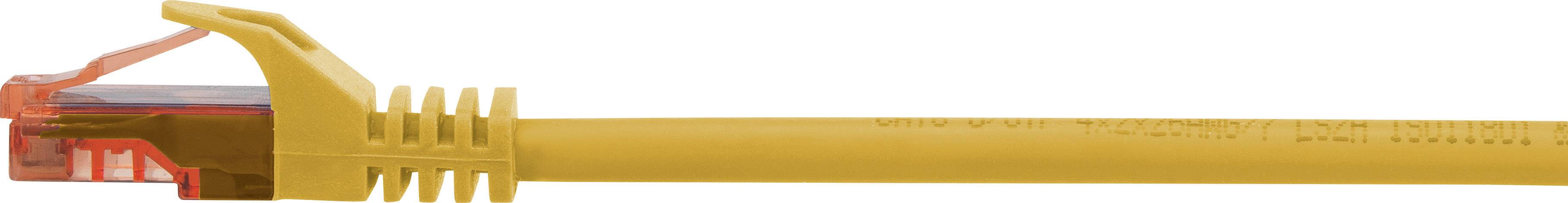 Ein gelbes Ethernet-Kabel mit transparentem RJ-45-Stecker, für Netzwerkverbindungen verwendet.