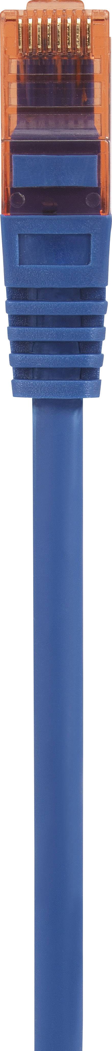 Ein blauer Ethernet-Kabelstecker mit orangefarbener Kunststoffhülle.