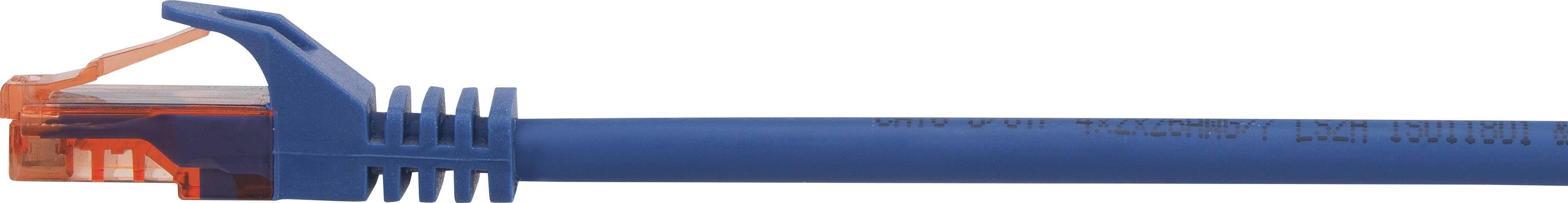 Ein blaues Netzwerkkabel mit einem orangefarbenen Steckverbinder, typischerweise für Ethernet-Verbindungen genutzt.