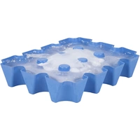 SL Eisblock 20x0,5l Flaschenkühler Kontakt Blau SL Eisblock 20x0,5l Flaschenkühler Kontakt Blau