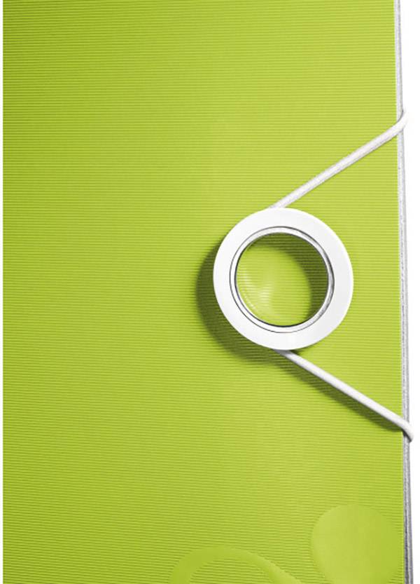 Leitz Ordner 1107 Active WOW DIN A4 Rückenbreite: 65 mm Grün (metallic)  2 Bügel 1107-00-64