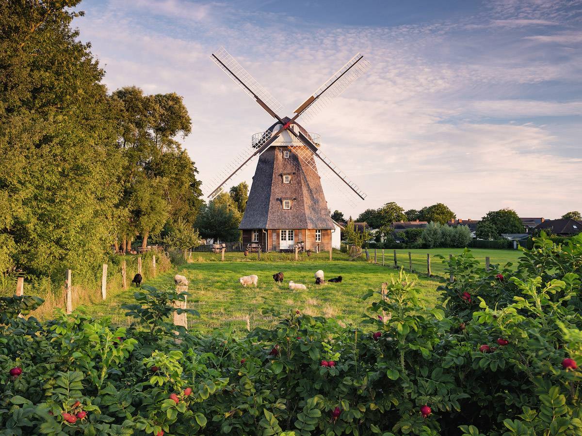Ravensburger Windmühle an der Ostsee 16223