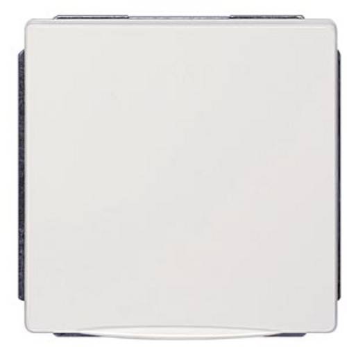 Siemens Schalterprogramm Platin 5UB18421 1 St.