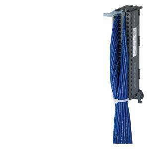 Ein Bündel blauer Ethernet-Kabel ist in einem Patchpanel eingesteckt, das auf einer Netzwerkhalterung montiert ist.