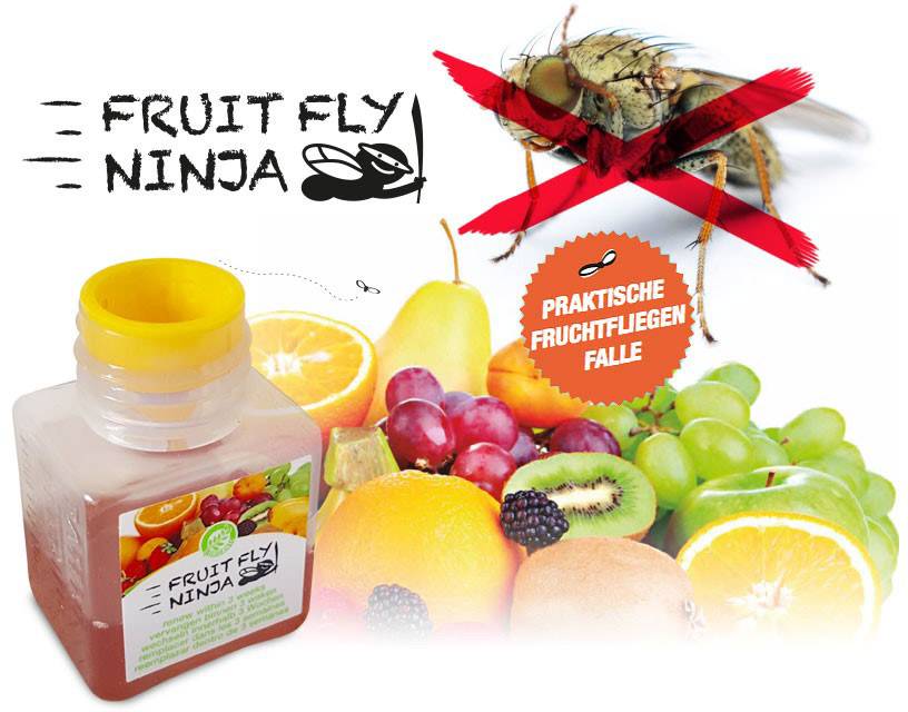 Fruit Fly Ninja FruitFlyTrap 42219 Fliegenfalle (B x H x T) 30 x 50 x