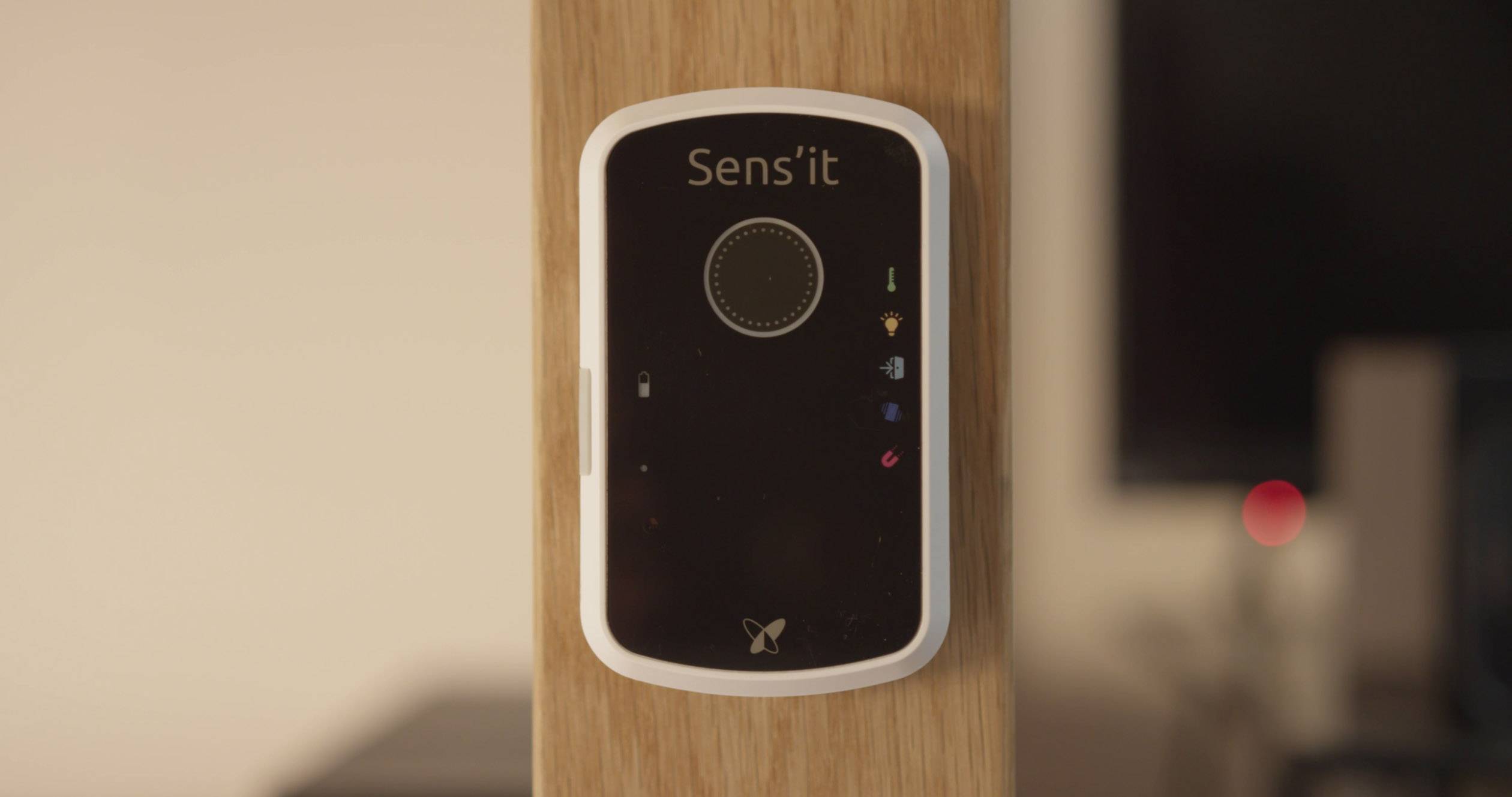 Sens'it Discovery 3.1 Sensor-Modul 1St.