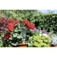 Hozelock 2715 3465 Aquasolo Urlaubsbewässerung Hozelock 2715 3465 Aquasolo Urlaubsbewässerung