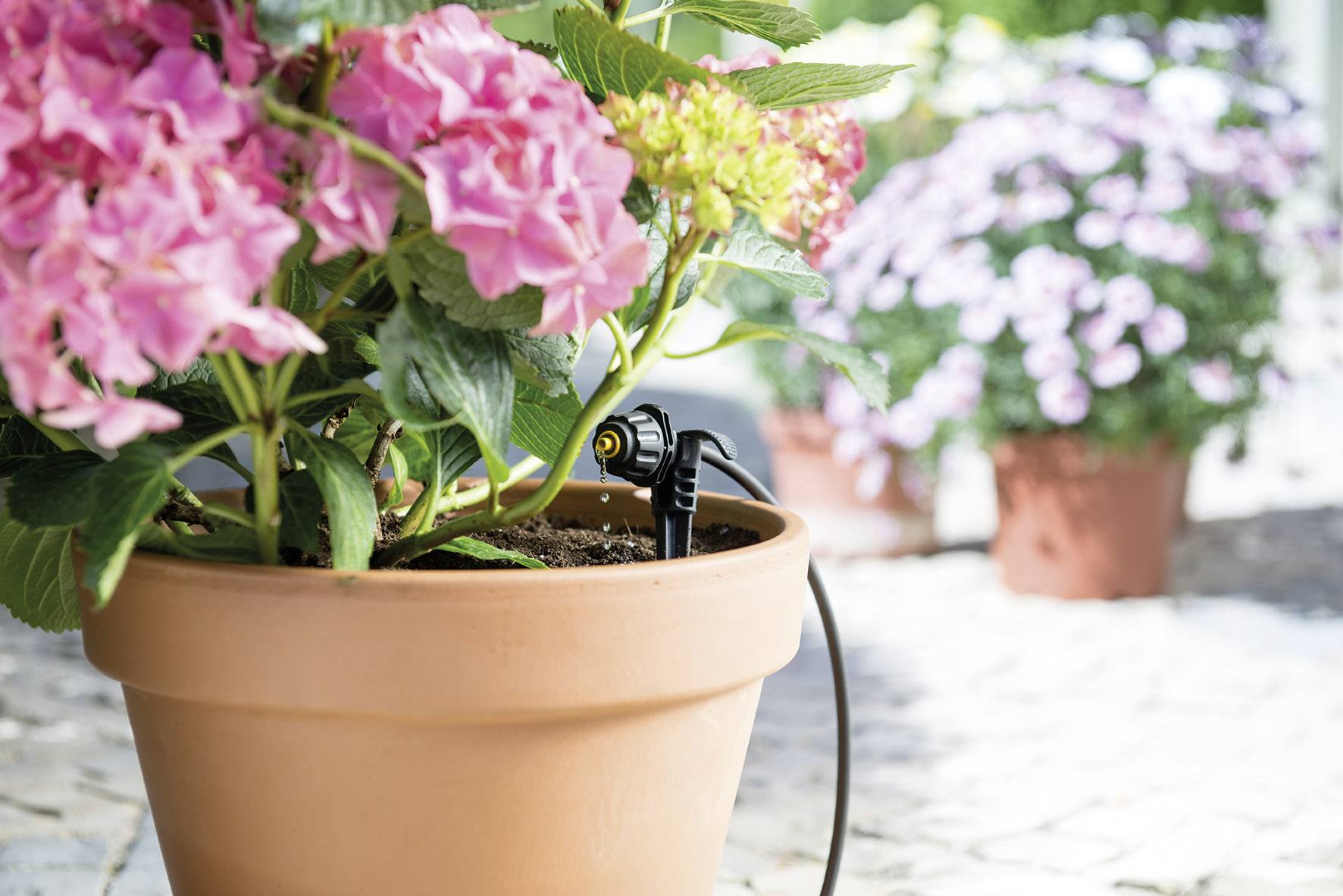 Hozelock 7024 0000 Micro-Tropfbewässerung