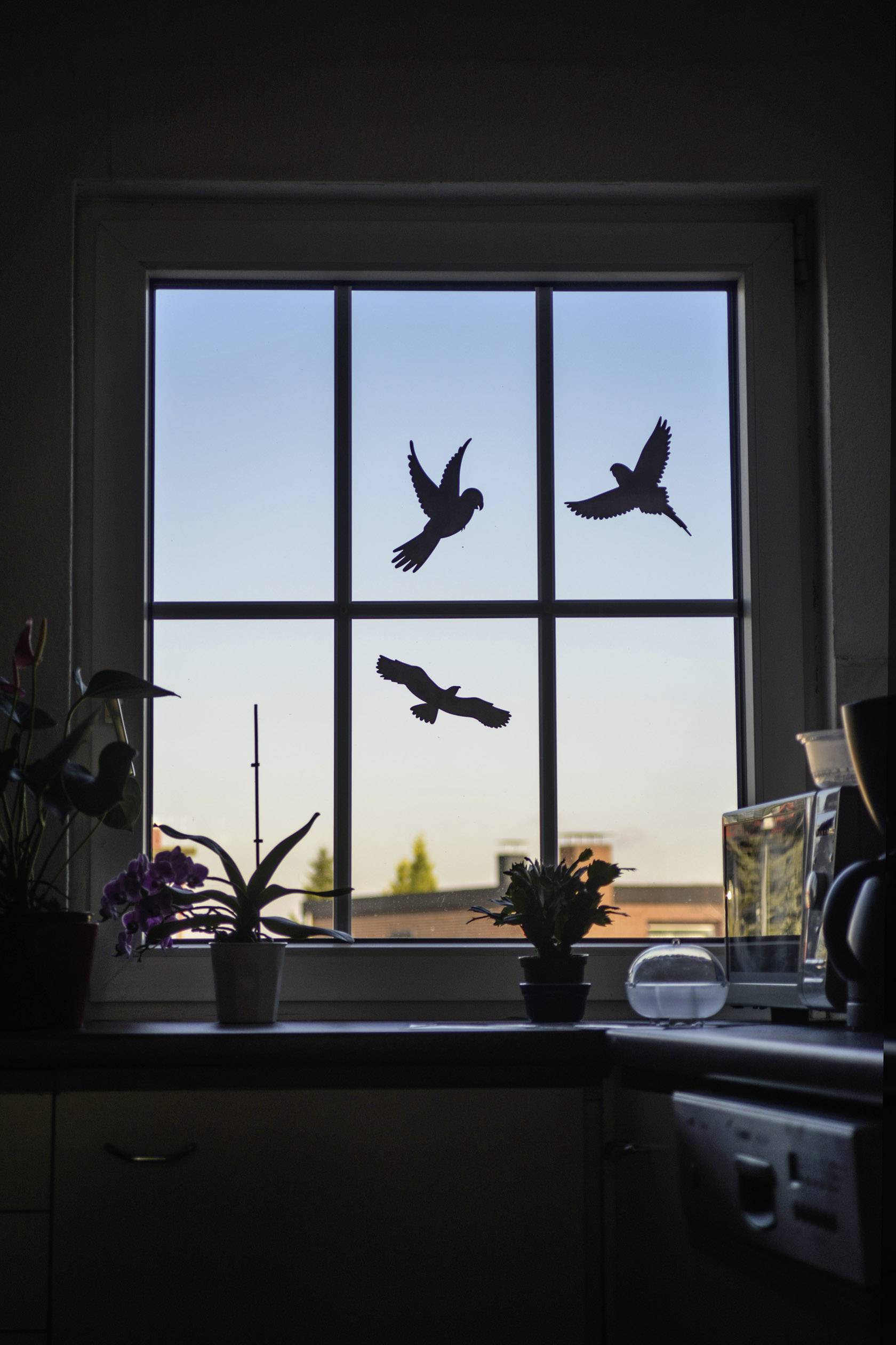 Gardigo Birdprotection Fensteraufkleber Vogelbild Funktionsart Abschreckung 5 St.