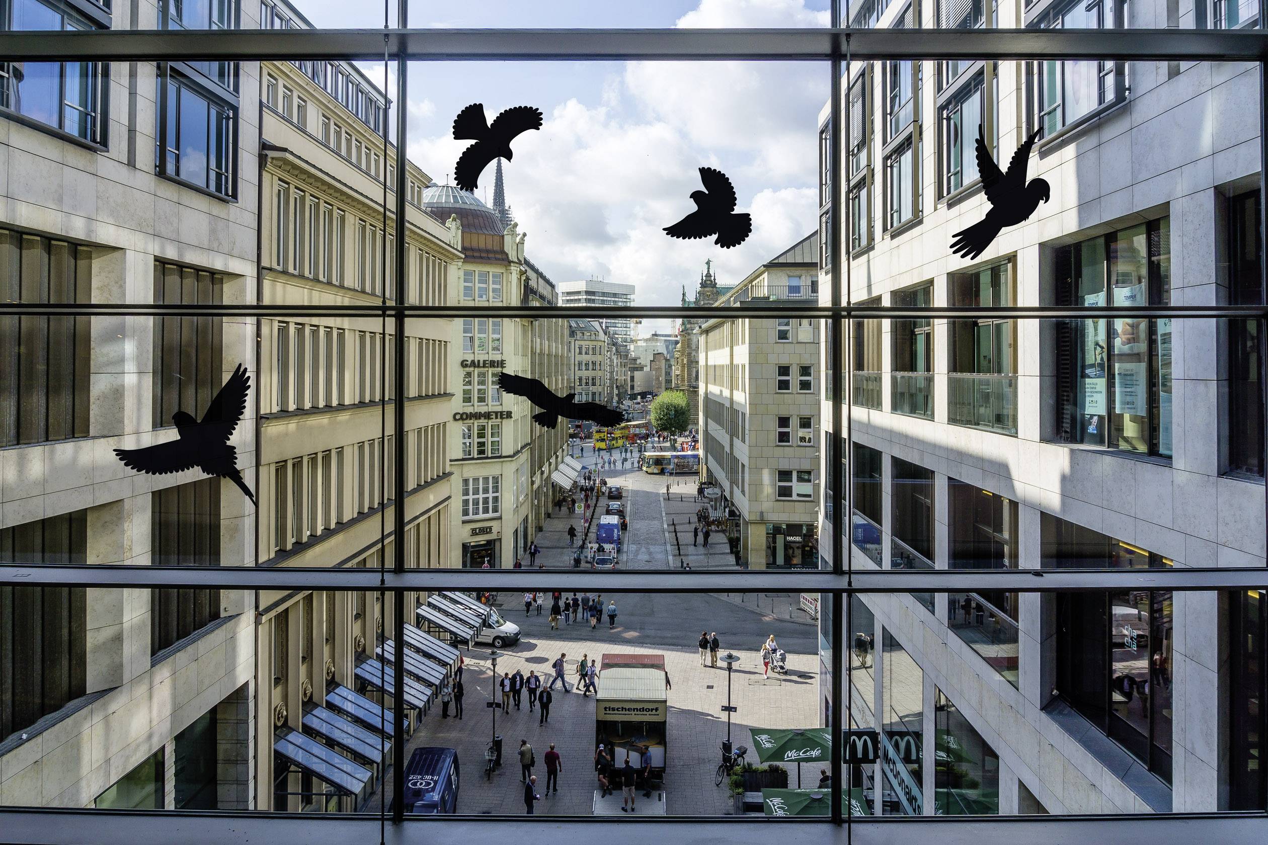 Gardigo Birdprotection Fensteraufkleber Vogelbild Funktionsart Abschreckung 5St.