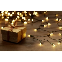 Polarlite PL-8814035 Mini-Lichterkette Innen netzbetrieben Anzahl Leuchtmittel 80 LED Beleuchtete Länge: 7.9m Polarlite PL-8814035 Mini-Lichterkette Innen netzbetrieben Anzahl Leuchtmittel 80 LED Beleuchtete Länge: 7.9m