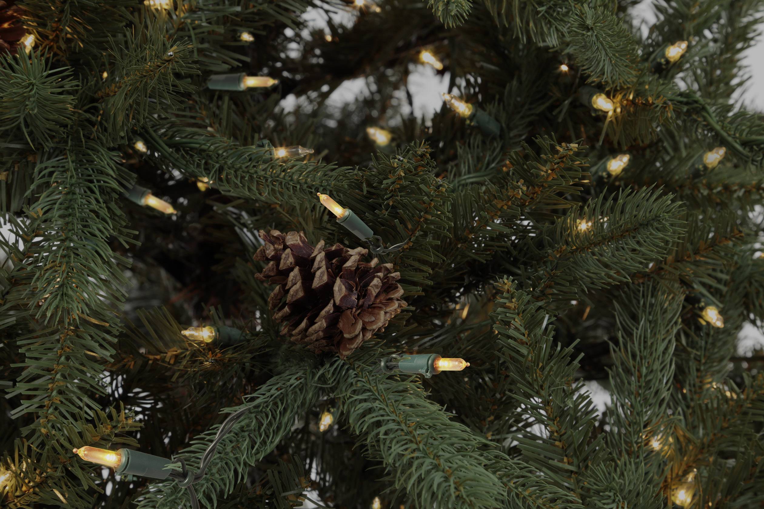 Polarlite PL-8814035 Mini-Lichterkette Innen netzbetrieben Anzahl Leuchtmittel 80 LED Beleuchtete Länge: 7.9m