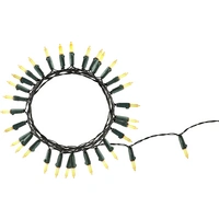 Polarlite PL-8814035 Mini-Lichterkette Innen netzbetrieben Anzahl Leuchtmittel 80 LED Beleuchtete Länge: 7.9m Polarlite PL-8814035 Mini-Lichterkette Innen netzbetrieben Anzahl Leuchtmittel 80 LED Beleuchtete Länge: 7.9m