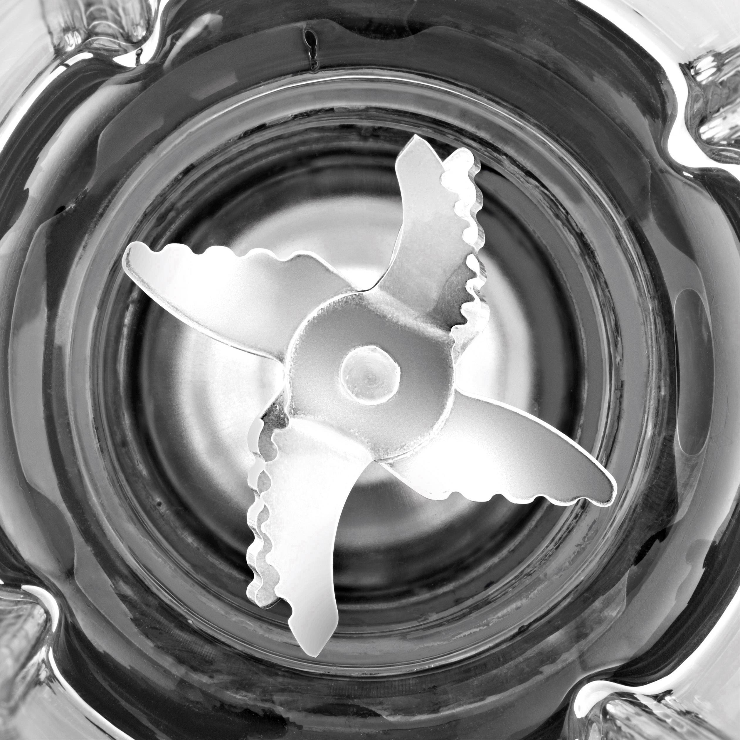 WMF 0416490011 Standmixer 400W Silber (matt), Schwarz