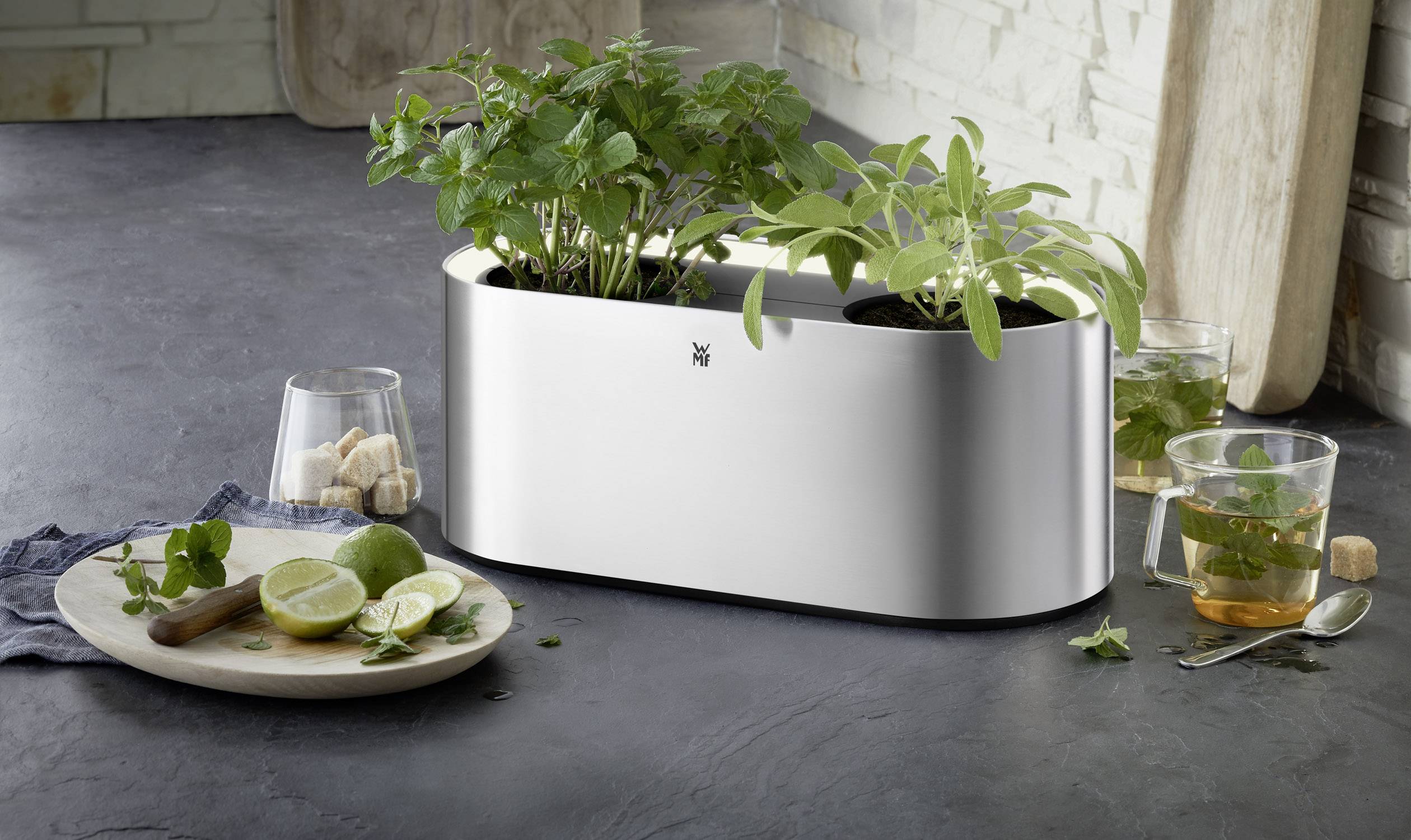 WMF AMBIENT Kräuter@home Indoor-Kräutergarten Silber | digitalo
