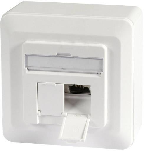 Datendose Cat.6A 500MHz oben/unten -- Aufputz, 2xRJ45, RAL9010 Netzwerkdose