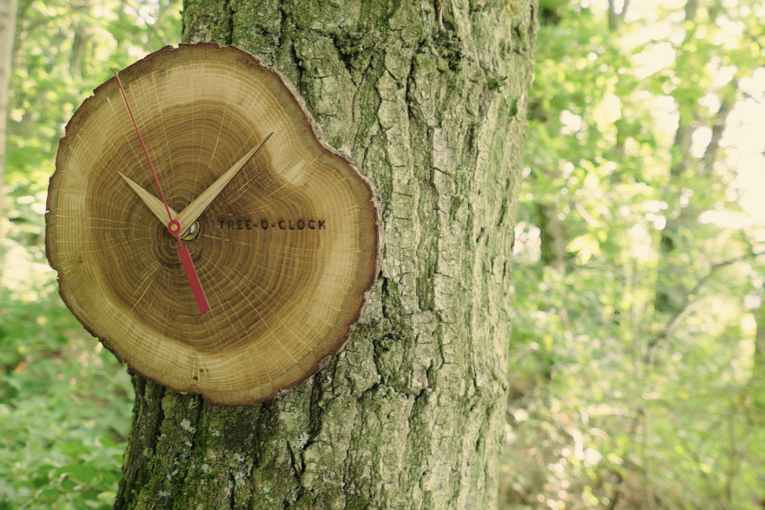 TFA Dostmann 60.3046.08 Quarz Wanduhr 172mm x 180mm x 40mm Eiche, Holz Echtholz