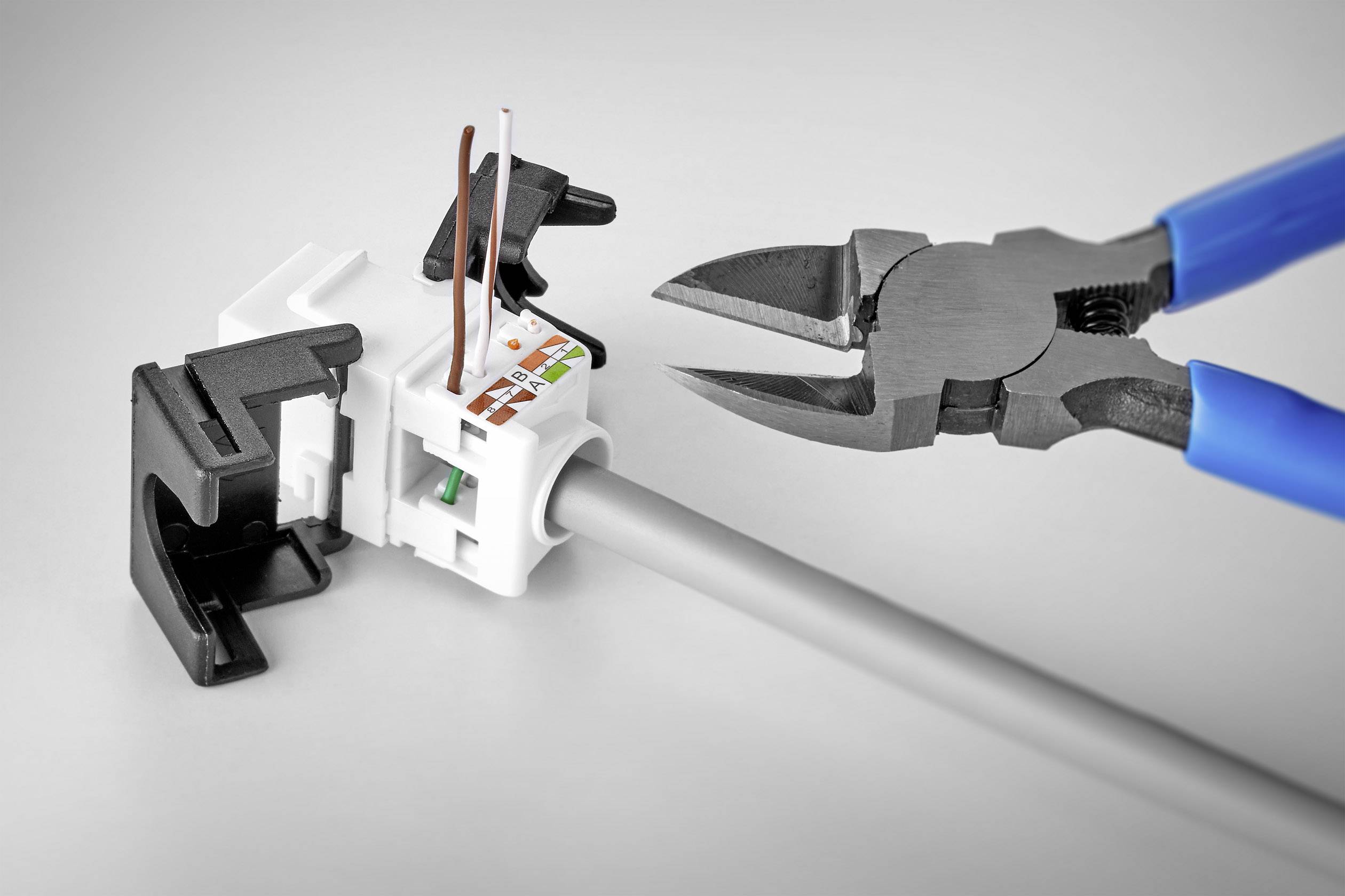 Renkforce RJ45-Einbaumodul Keystone CAT 6