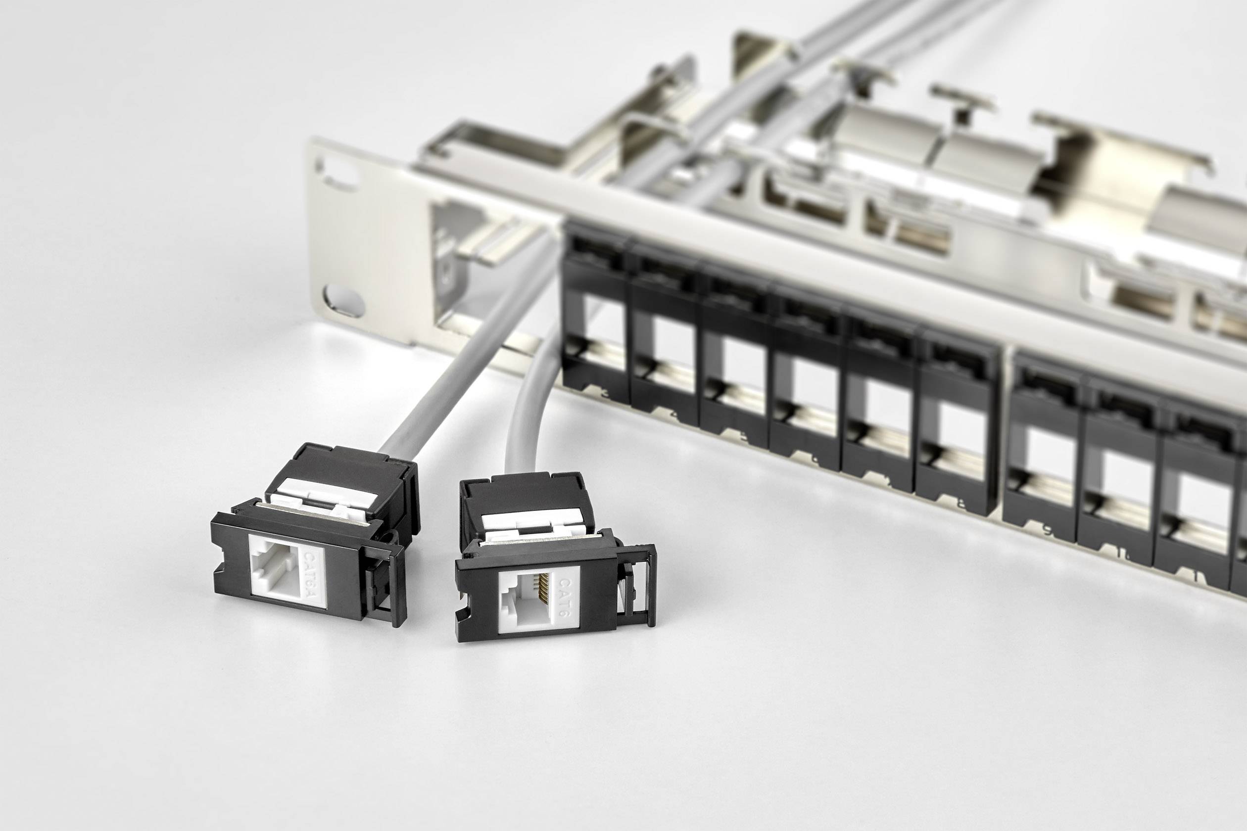 Patchpanel mit zwei herausgezogenen Netzwerkkabelsteckern, umgeben von weiteren Anschlüssen in einer Serverumgebung.