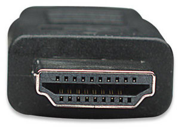 Techly Adapterkabel - HDMI männlich zu DVI-D männlich - 1.8 m