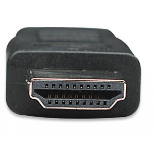 TECHly - Adapterkabel - HDMI männlich zu DVI-D männlich