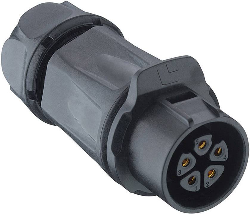 Ein schwarzer elektrischer Stecker mit sechs Pins, teilweise nummeriert, zeigt auf die Kamera. Der Stecker hat ein robustes Kunststoffgehäuse.