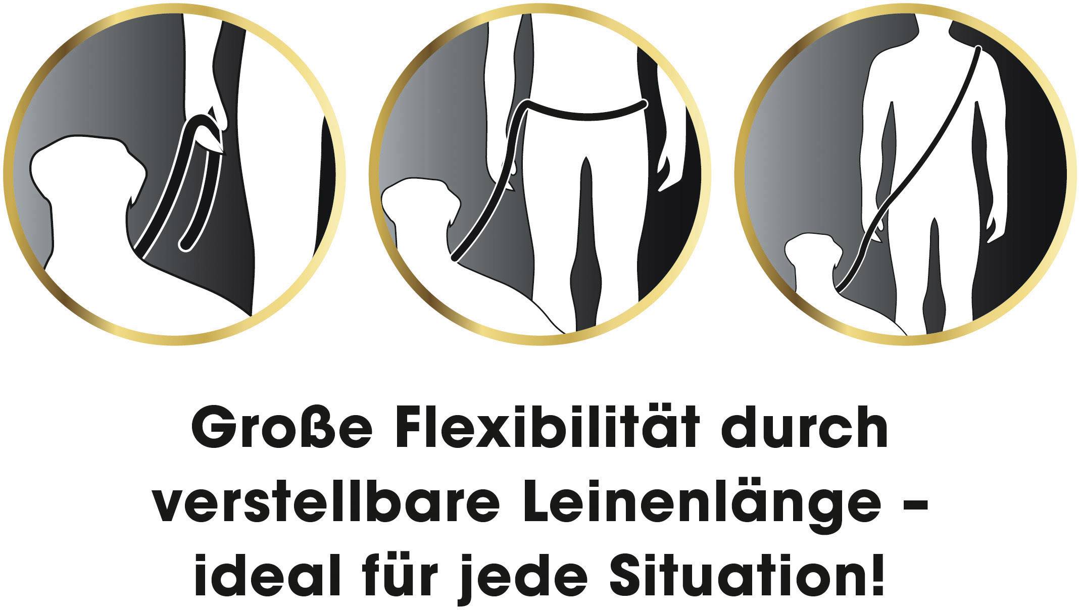 Hundeleine mit Halsband GoLeyGo Schwarz Kleider-Größe L 1 St.