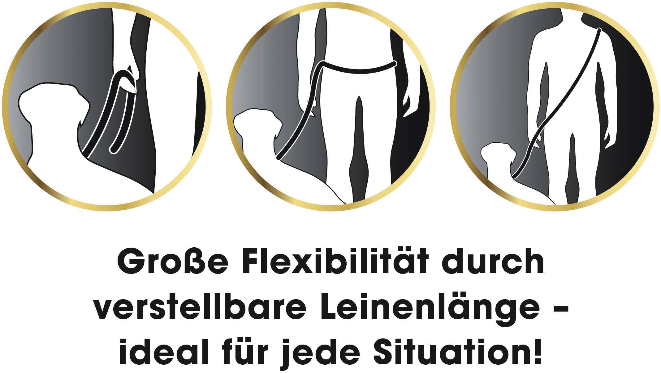 Hundeleine & Halsband GoLeyGo Vario S/M Schwarz Größe S/M 1 St.