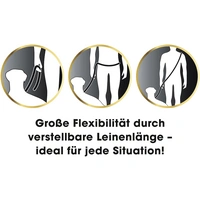 Hundeleine & Halsband GoLeyGo Vario S/M Schwarz Größe S/M 1St. Hundeleine & Halsband GoLeyGo Vario S/M Schwarz Größe S/M 1St.