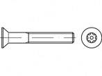 Technische Zeichnung einer Schraube mit Torx-Kopf und Gewinde. Seitenansicht und Draufsicht enthalten.