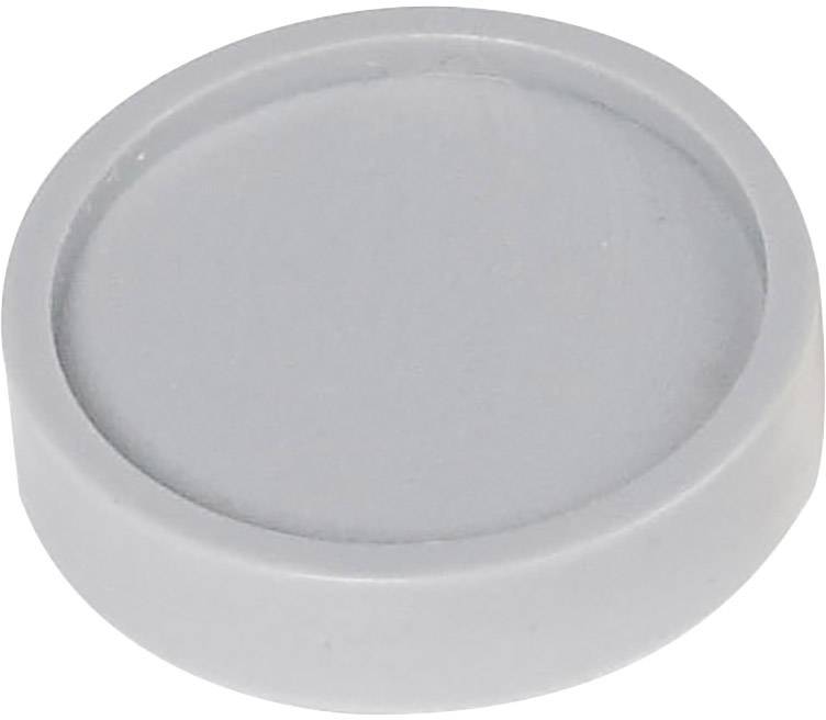 Maul Magnet (Ø x H) 30 mm x 8.4 mm rund Grau 10 St. 6172384