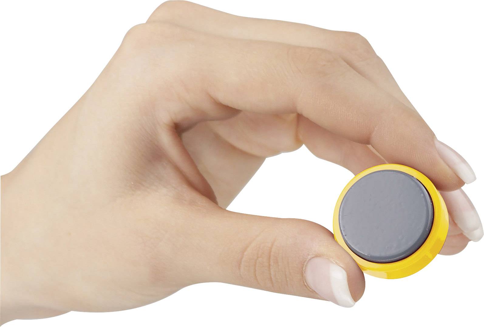 Maul Magnet MAULpro (Ø x H) 30 mm x 10 mm rund Gelb 20 St. 6177113