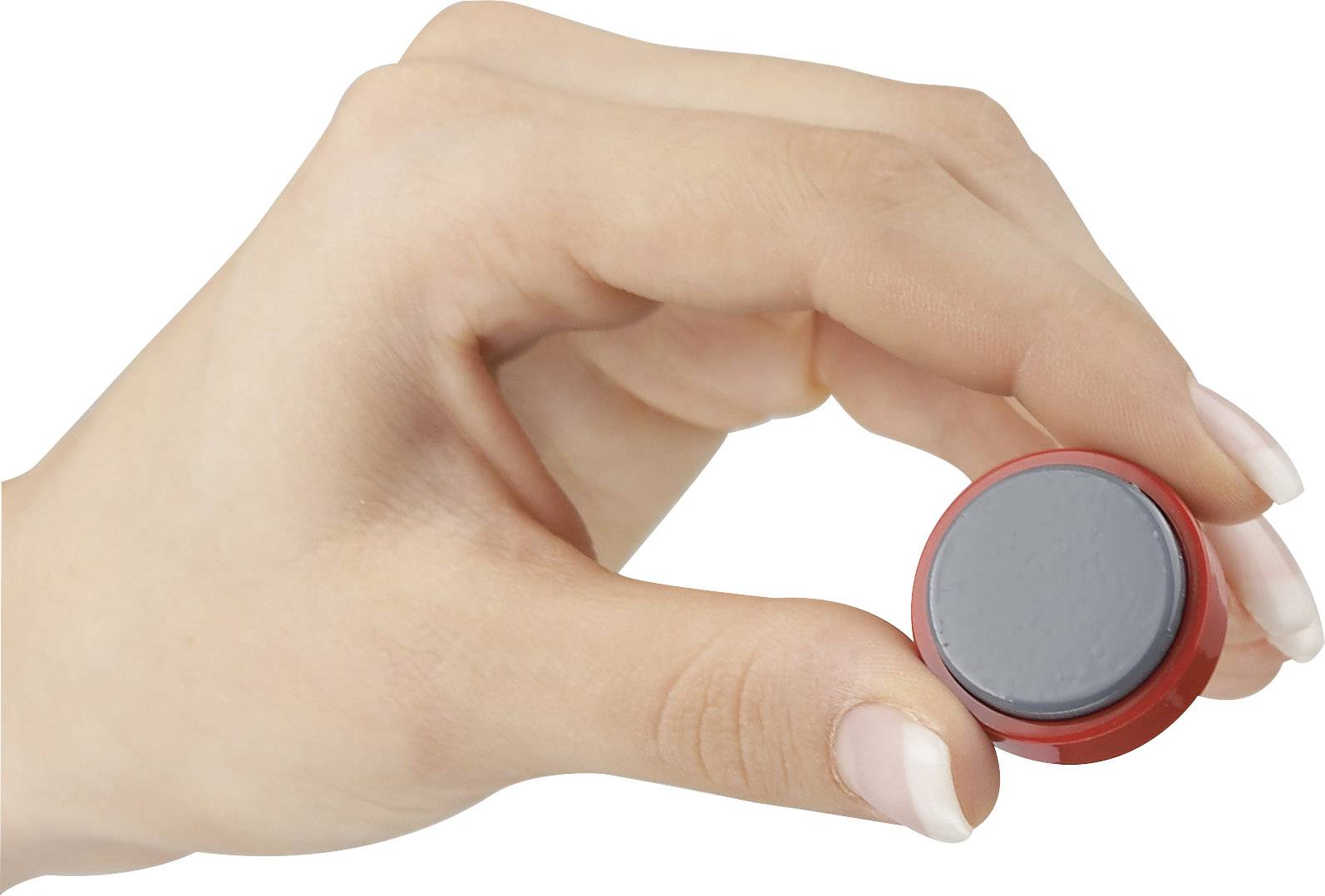 Maul Magnet MAULpro (Ø x H) 30 mm x 10 mm rund Rot 20 St. 6177125