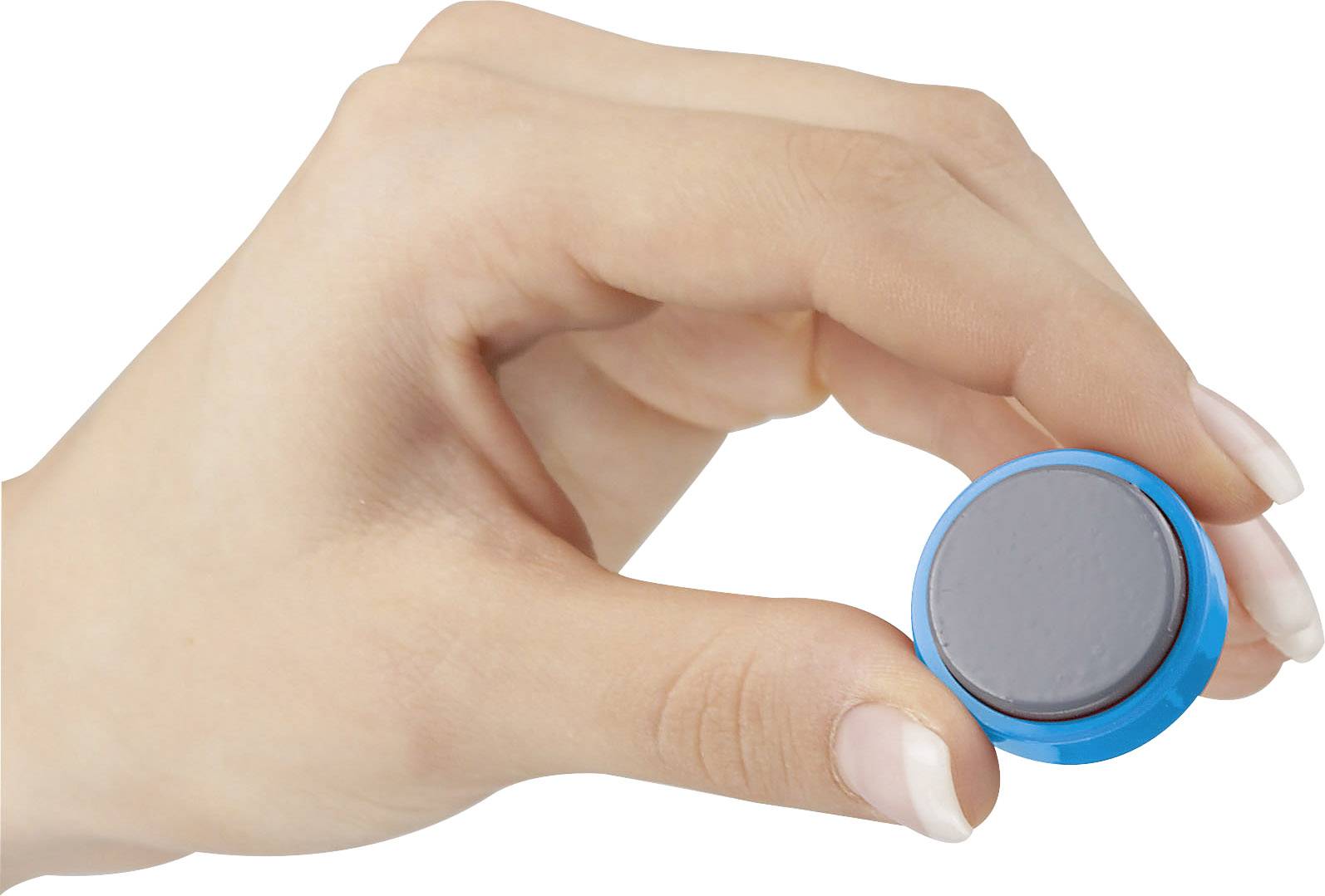 Maul Magnet MAULpro (Ø x H) 30 mm x 10 mm rund Hellblau 20 St. 6177134